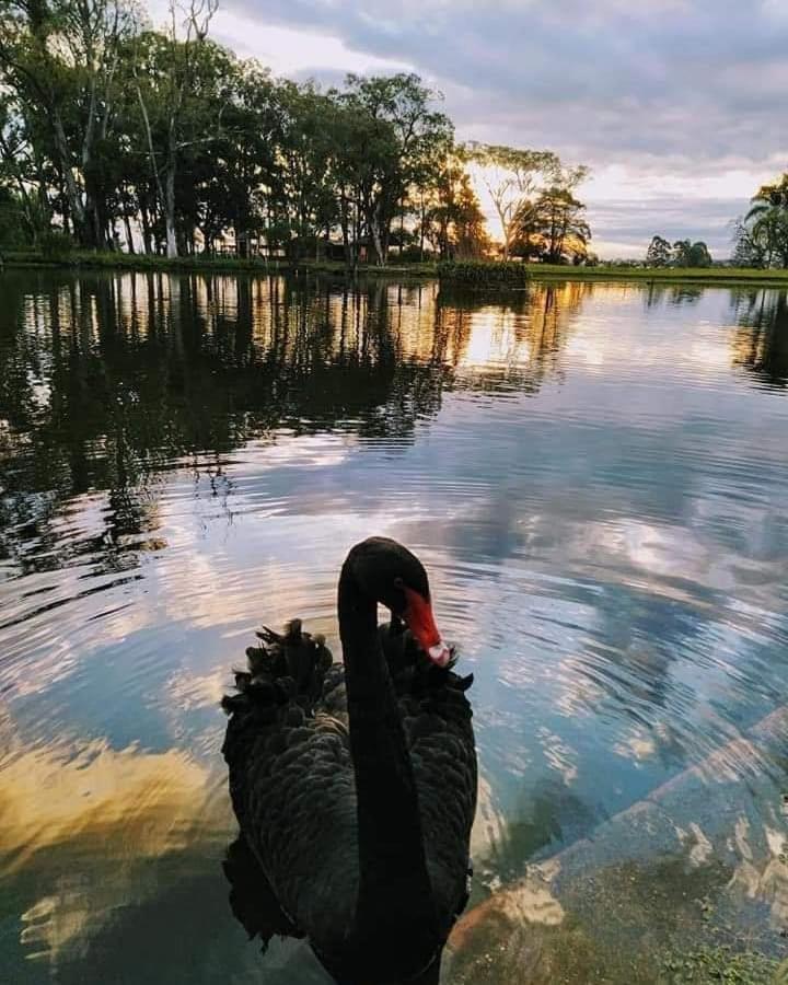 Pousada Do Sobrado Bage Luaran gambar